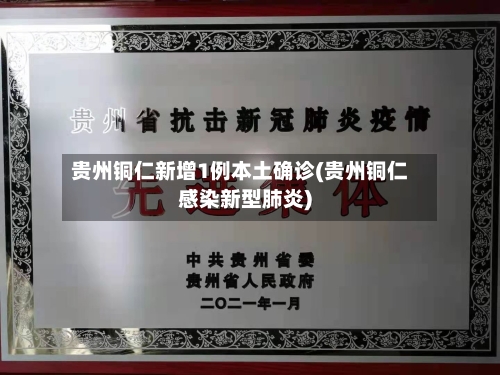 贵州铜仁新增1例本土确诊(贵州铜仁感染新型肺炎)-第3张图片