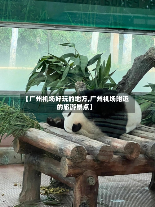 【广州机场好玩的地方,广州机场附近的旅游景点】