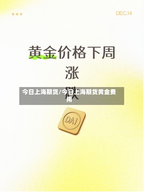 今日上海期货/今日上海期货黄金费用-第2张图片