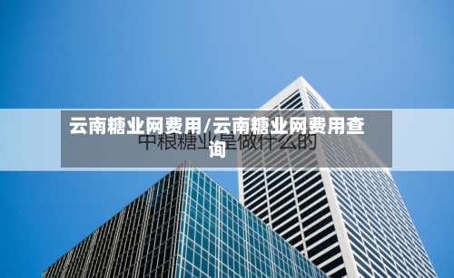 云南糖业网费用/云南糖业网费用查询-第3张图片