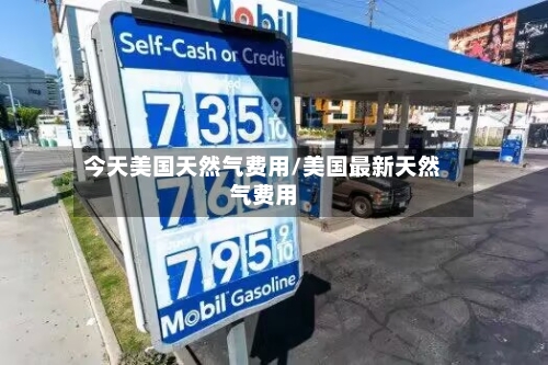 今天美国天然气费用/美国最新天然气费用-第3张图片