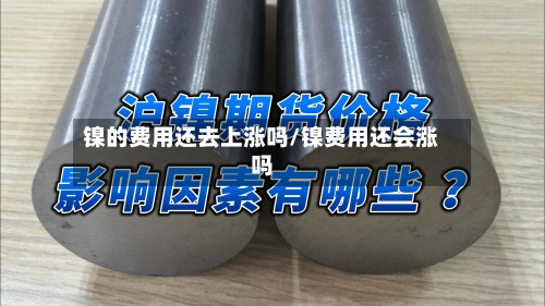 镍的费用还去上涨吗/镍费用还会涨吗