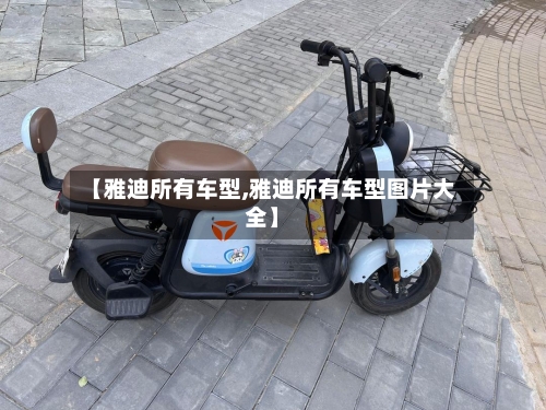 【雅迪所有车型,雅迪所有车型图片大全】-第2张图片