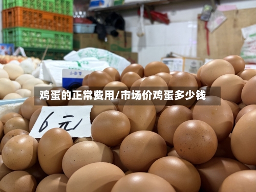 鸡蛋的正常费用/市场价鸡蛋多少钱