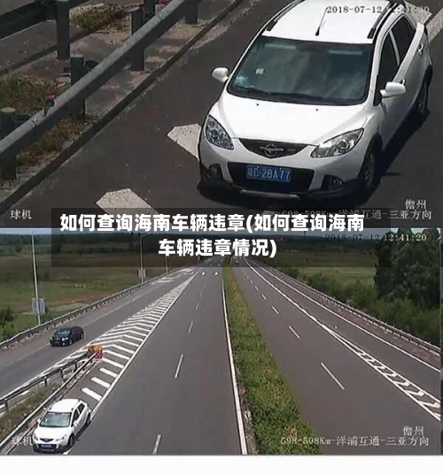 如何查询海南车辆违章(如何查询海南车辆违章情况)-第3张图片