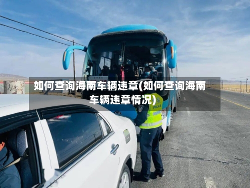 如何查询海南车辆违章(如何查询海南车辆违章情况)